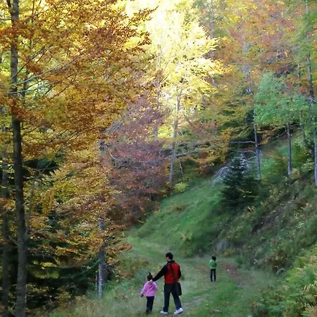 Mira Moleta Bienvenidos A Lejlighed