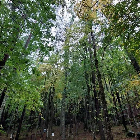 Mira Moleta Bienvenidos A Canfranc