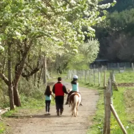 Lejlighed Mira Moleta Bienvenidos A *