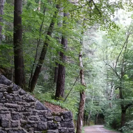 Mira Moleta Bienvenidos A