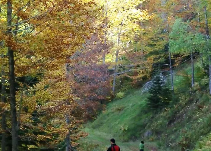 Mira Moleta Bienvenidos A Lägenhet