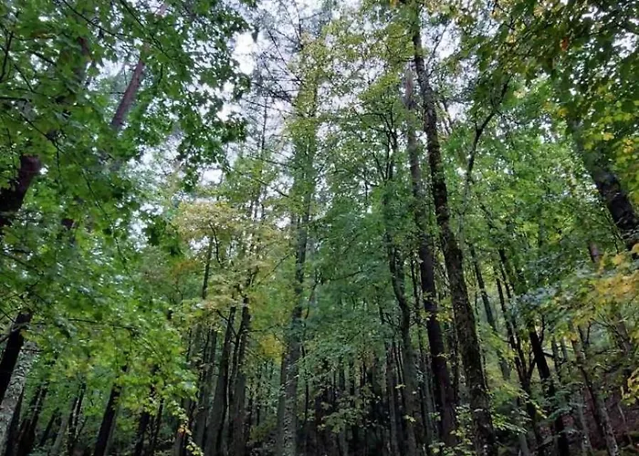 Mira Moleta Bienvenidos A Canfranc