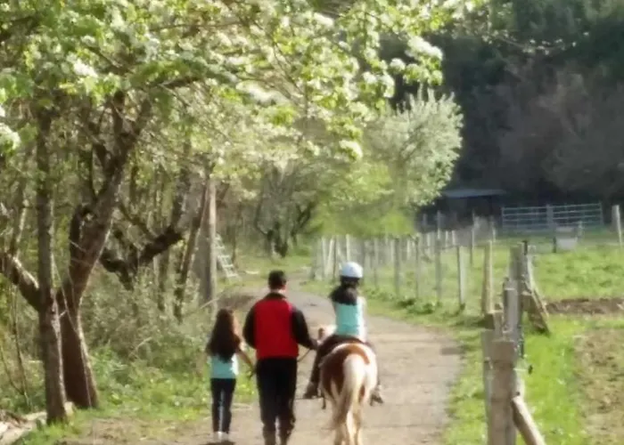 Lägenhet Mira Moleta Bienvenidos A *