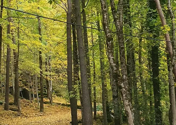 Mira Moleta Bienvenidos A Lägenhet *