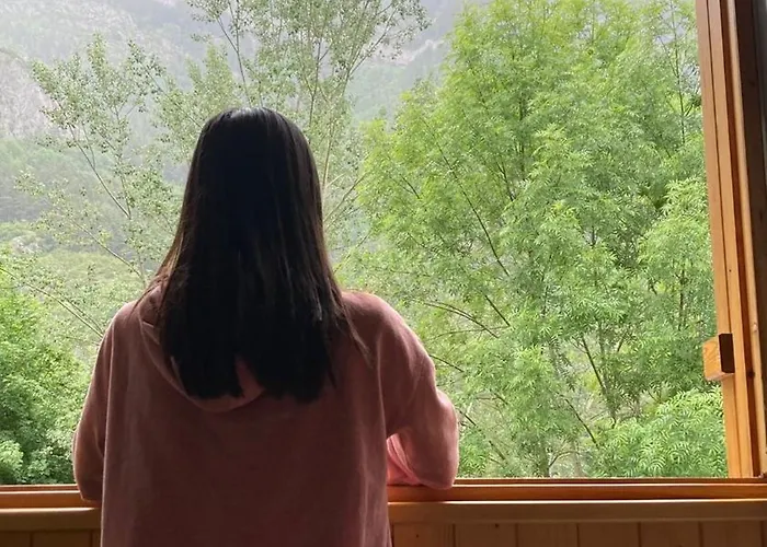 Mira Moleta Bienvenidos A *