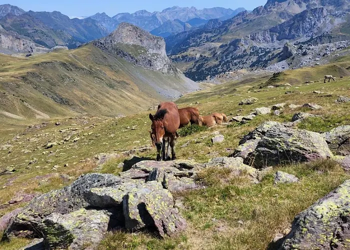 Lägenhet Mira Moleta Bienvenidos A *