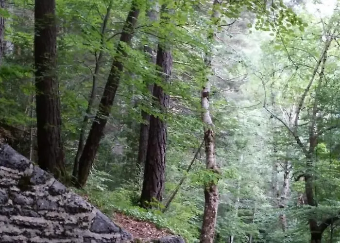 Mira Moleta Bienvenidos A